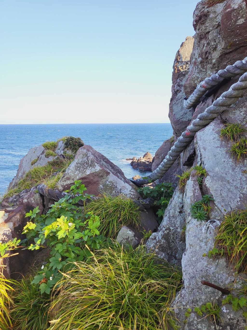 Cape Manazuru: A Unique Adventure in&nbsp;Japan